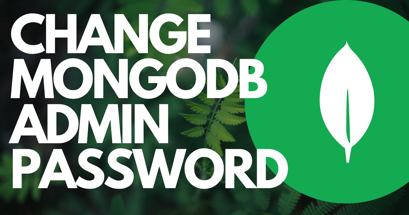 How to change MongoDB Admin Password