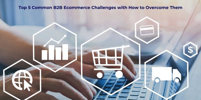 Top 5 Common B2B Ecommerce Challenges with How to Overcome Them