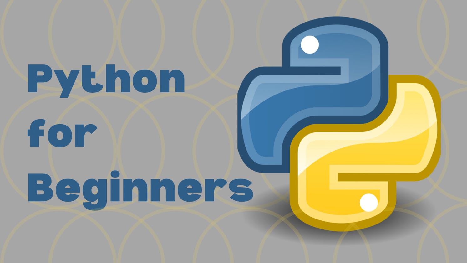 A Beginner's Guide to Python; Set up and know the basics