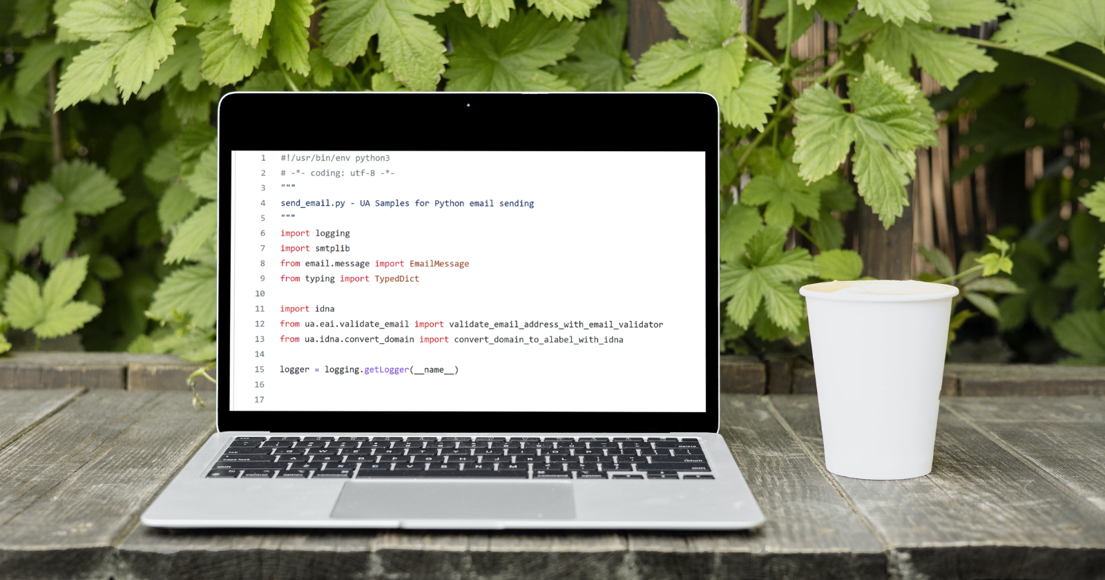 "Universal Acceptance of Domain Names and E-mail Addresses" - What is the issue?