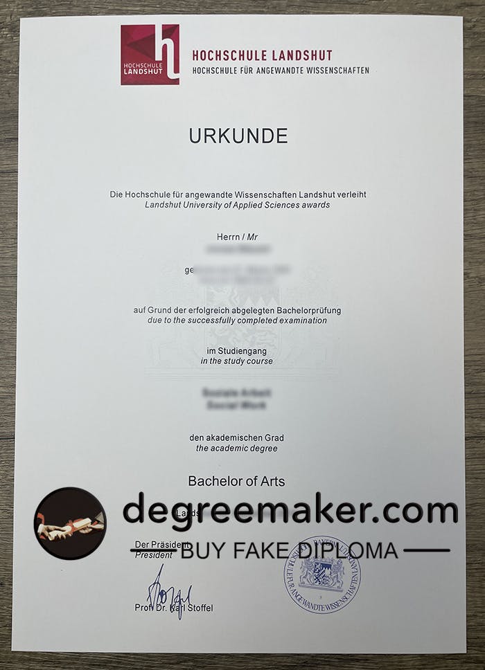 Hochschule Landshut diploma.jpg