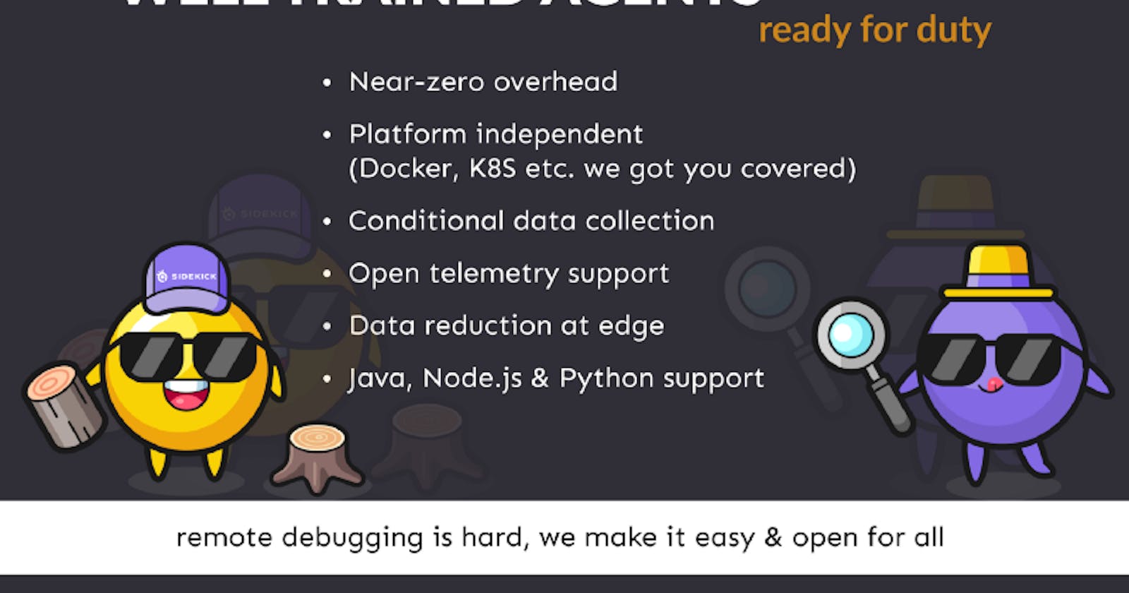 Sidekick Open Source Live Debugger : Get started in 5 mins