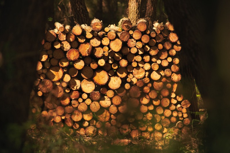 Log you are looking for is a needle in a haystack, Not Anymore!