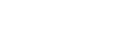 DhiWise