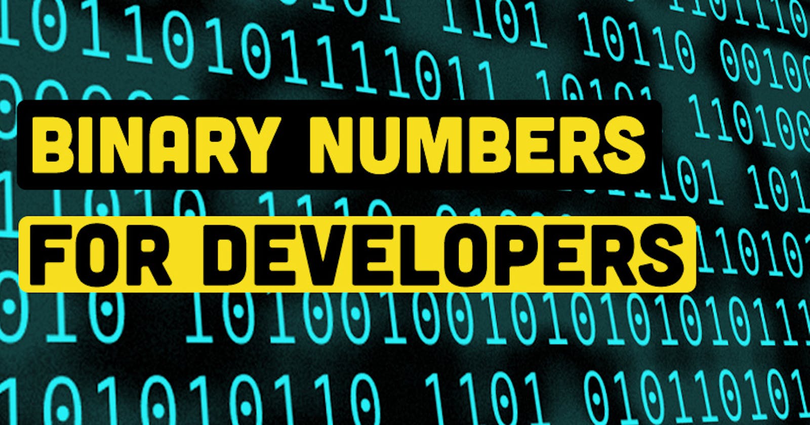 Binary Numbers Explained for Programmers