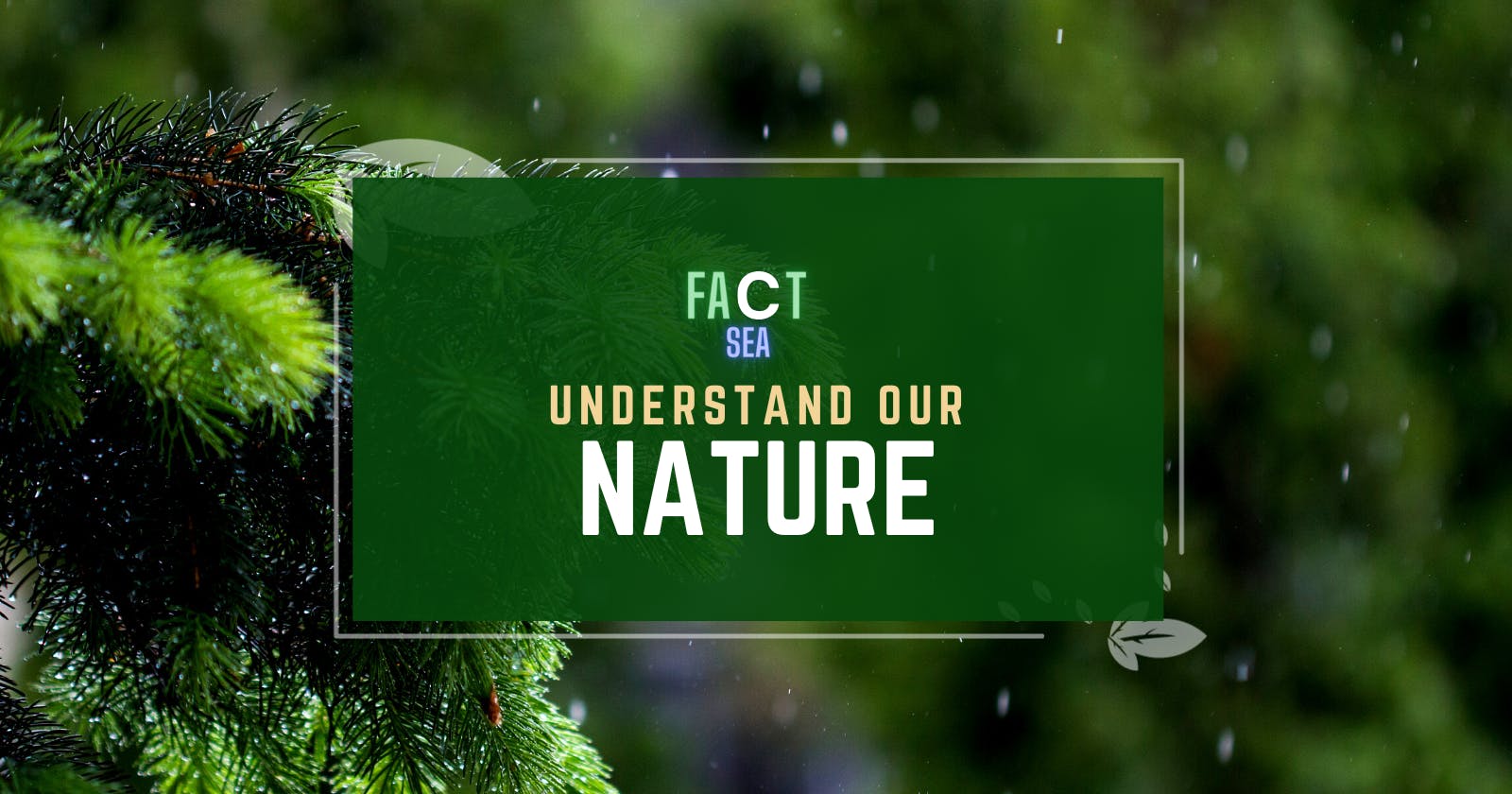 Introducing FactSea: A Nature Fact Explorer