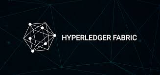 Hyperledger V1.0 vs V2.0