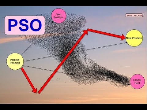 Practical swarm optimization (PSO)