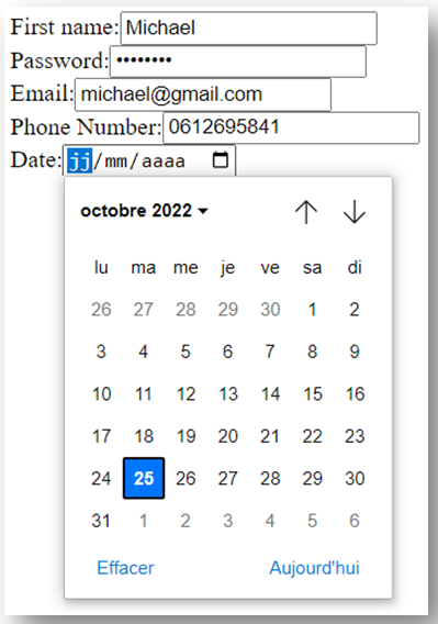browser input date.PNG
