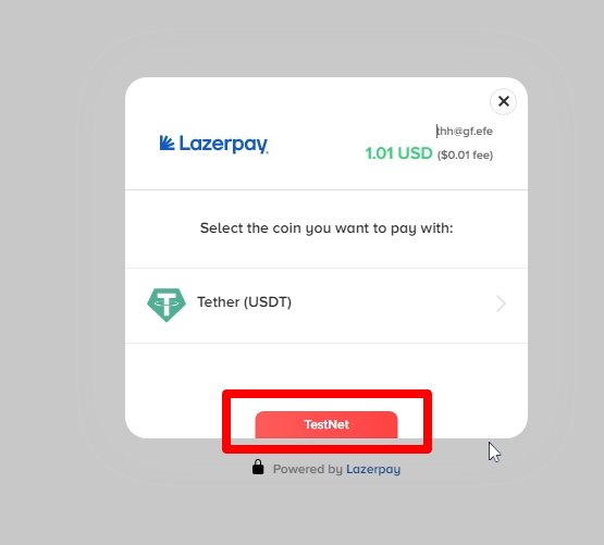 An image showing lazerpay modal when testing