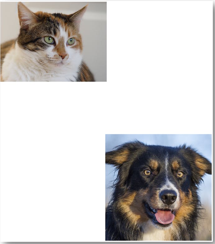 cat and dog with margin combined.PNG
