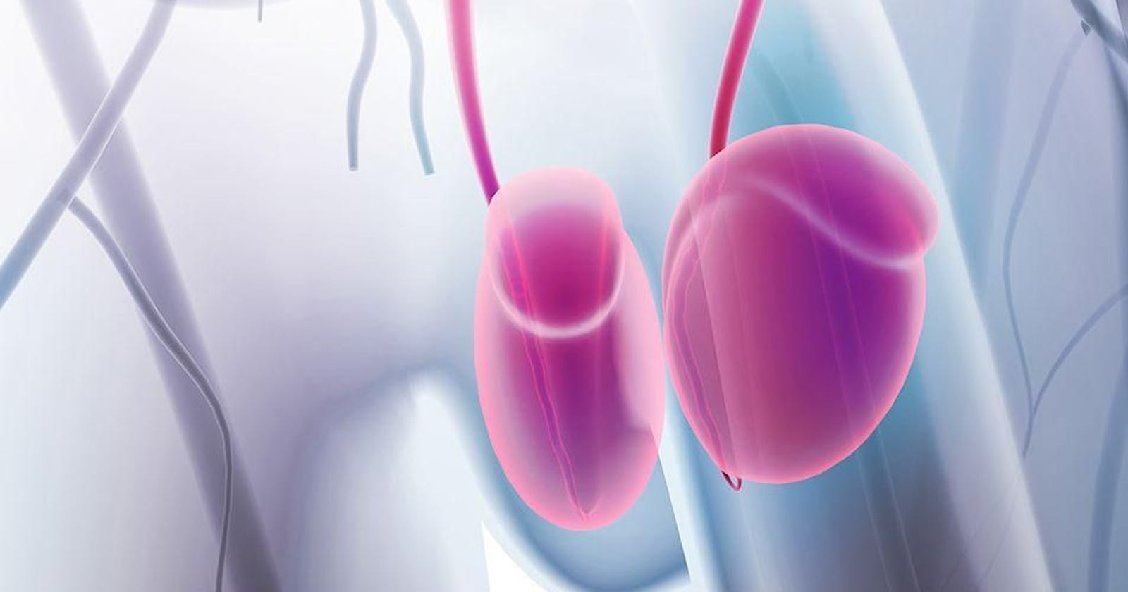 Terjadi Peradangan Pada Saluran Sperma? Hati-Hati Bisa Terkena Epididimitis Loh