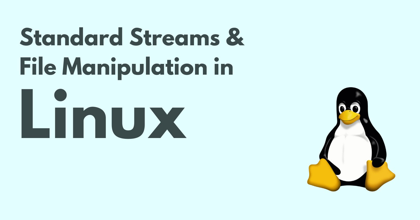 Standard Streams and File Manipulation in Linux: Explained in Detail