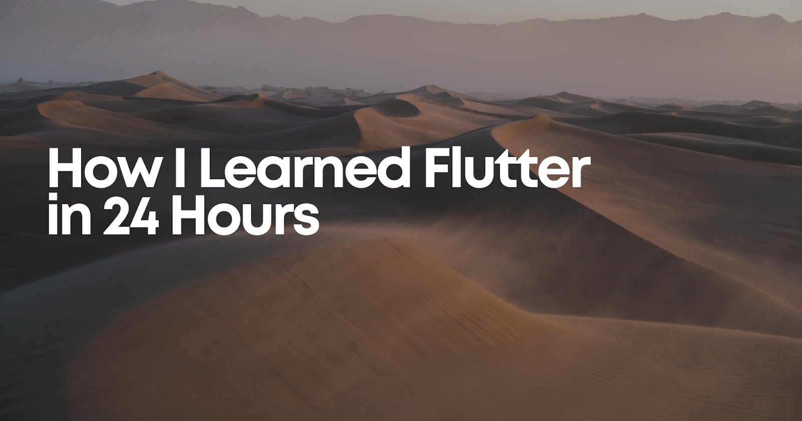 How I Learned Flutter in 24 Hours