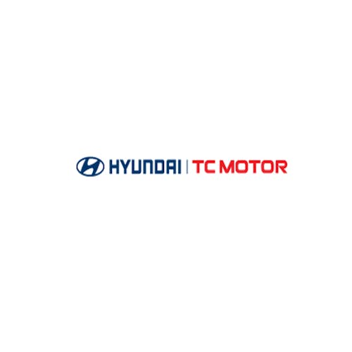 Hyundai Stargazer's blog