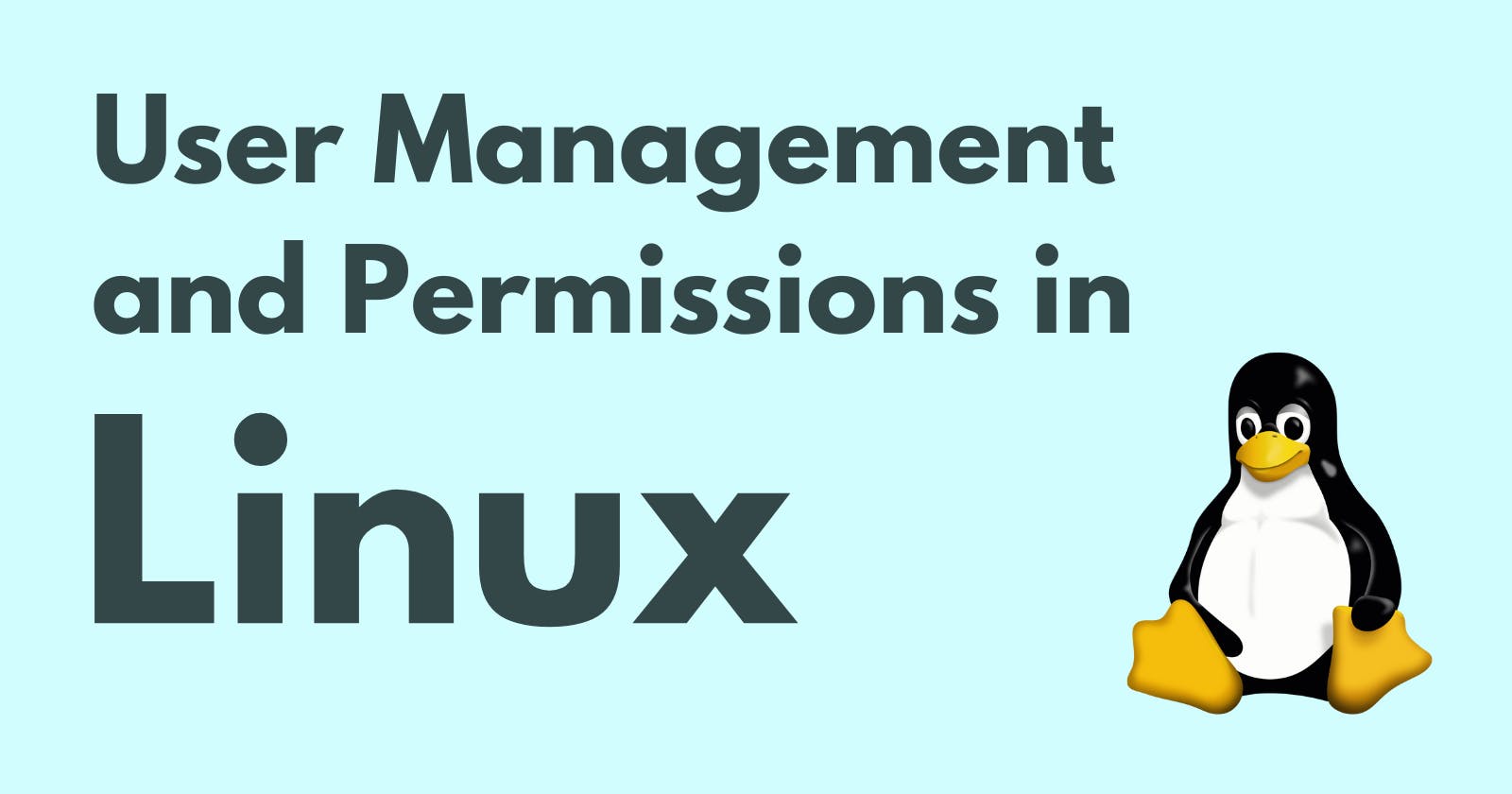 User Management and Permissions in Linux: Everything you need to know