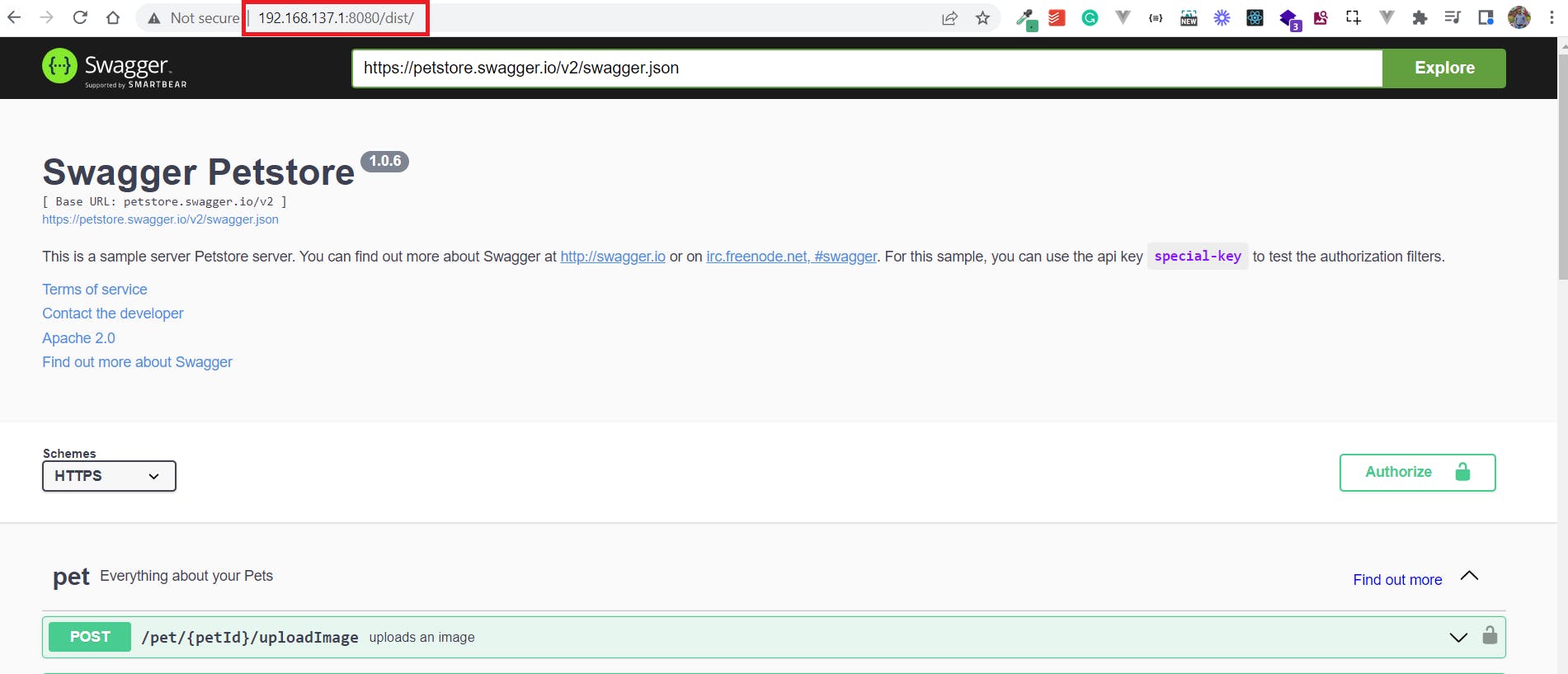 Swagger UI Running on http-server.png