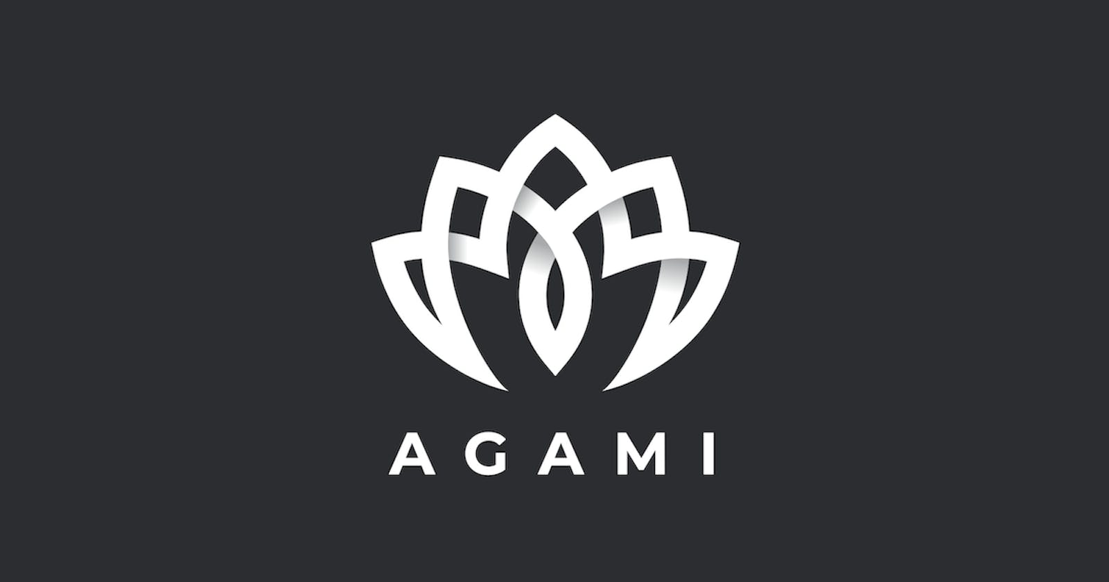AGAMI Blog #1: What is going on?!