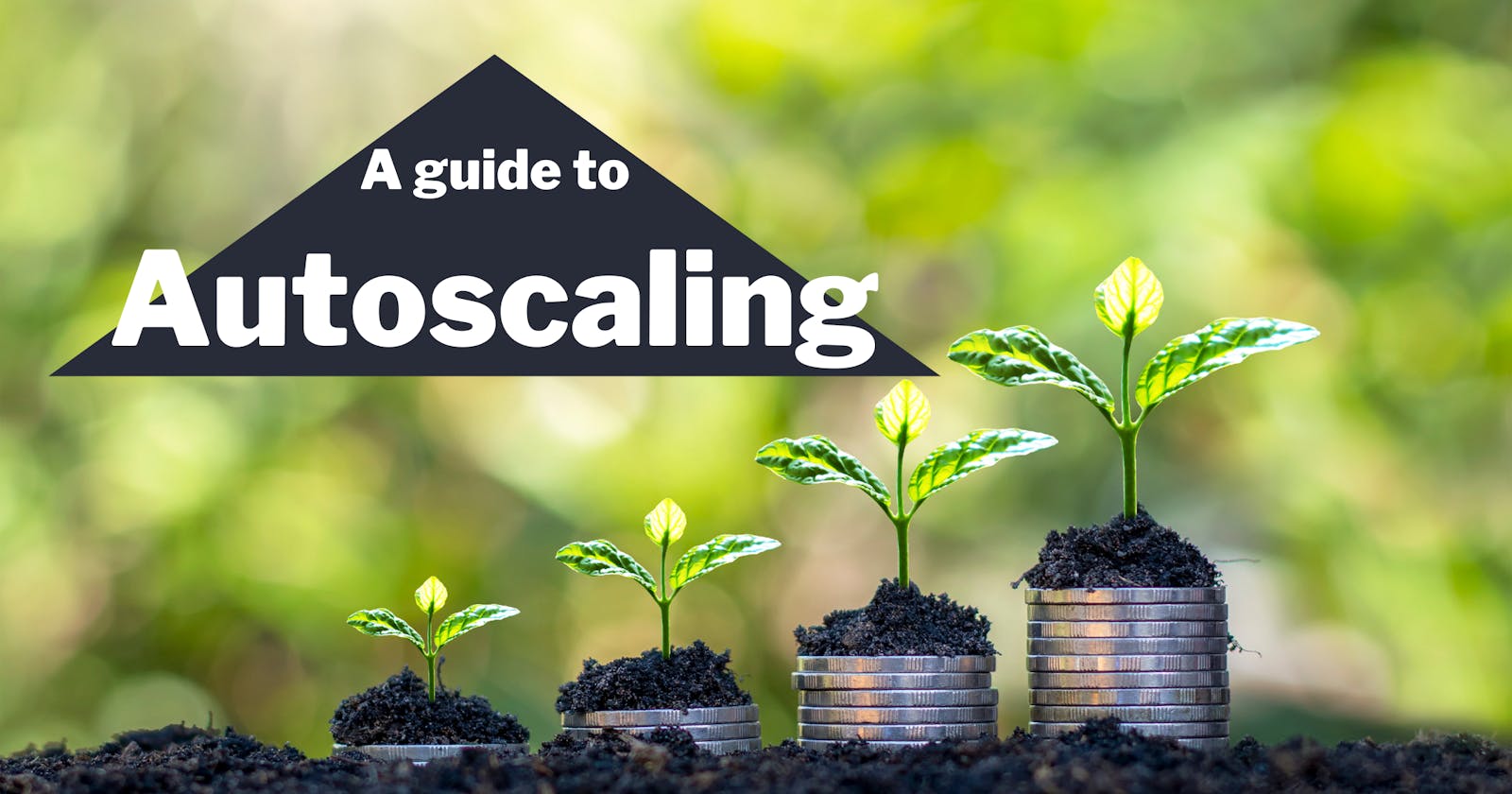 A Guide to Autoscaling
