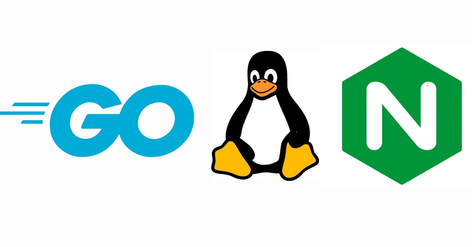 Deploy on Linux with Systemctl and Nginx