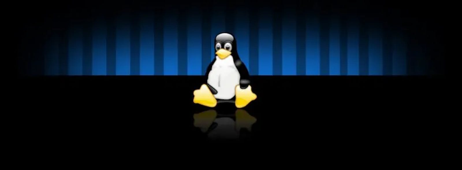 Hola , Linux 👋 | Beyond Shell(s)