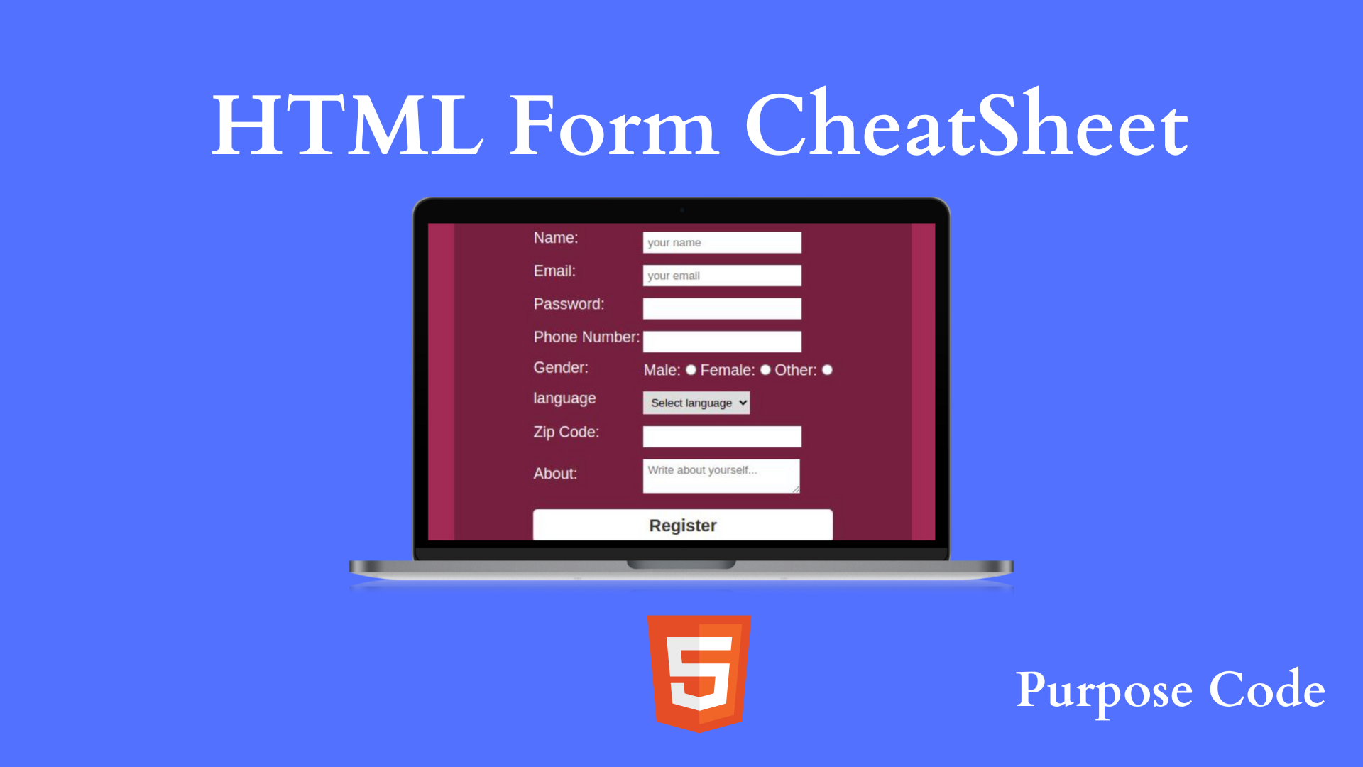 What are the different types of inputs in HTML forms?