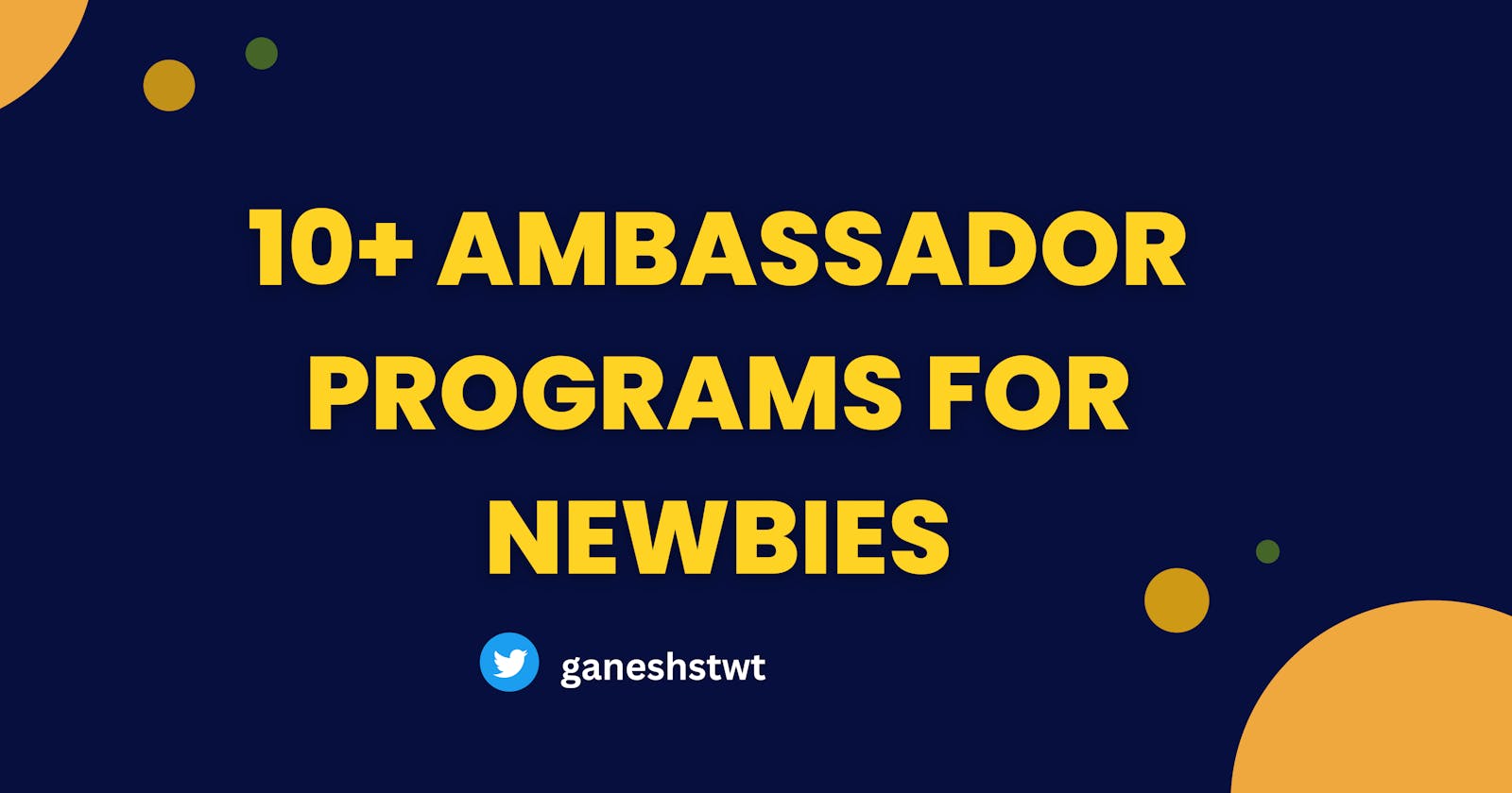 10+ Ambassador Programs for Newbies