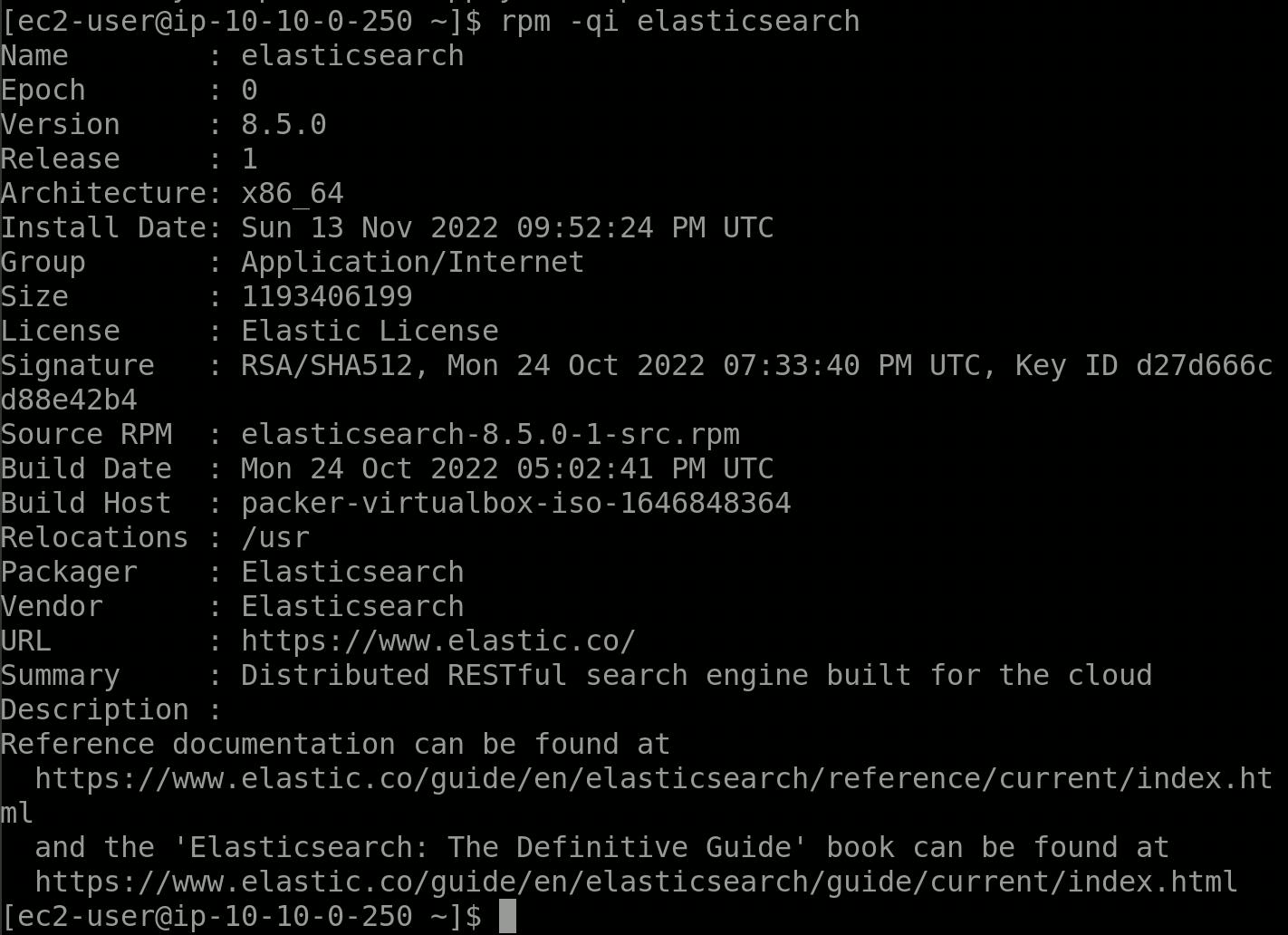 elasticsearch successfully installed