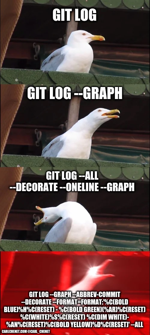 Panel 1 - normal seagull captioned git log. Panel 2 - seagull with mouth open captioned git log --graph. Panel 3 - seagull tossing its head back captioned git log --all --decorate --oneline --graph. Panel 4 - seagull mouth open head forward shooting lasers from its eyes captioned git log --graph --abbrev-commit --decorate --format=a long template string changing colors --all