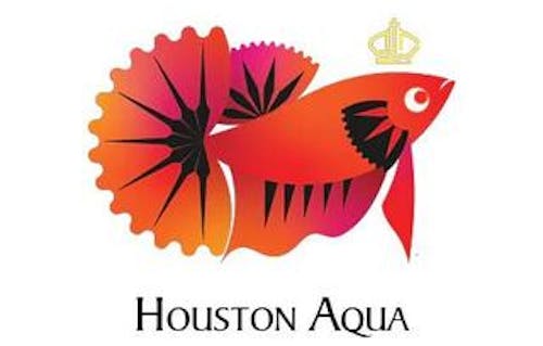 Houston Aqua's photo