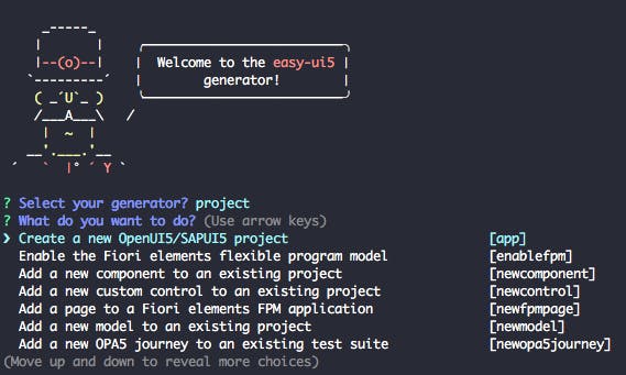 Select: Create a new OpenUI5/SAPUI5 project