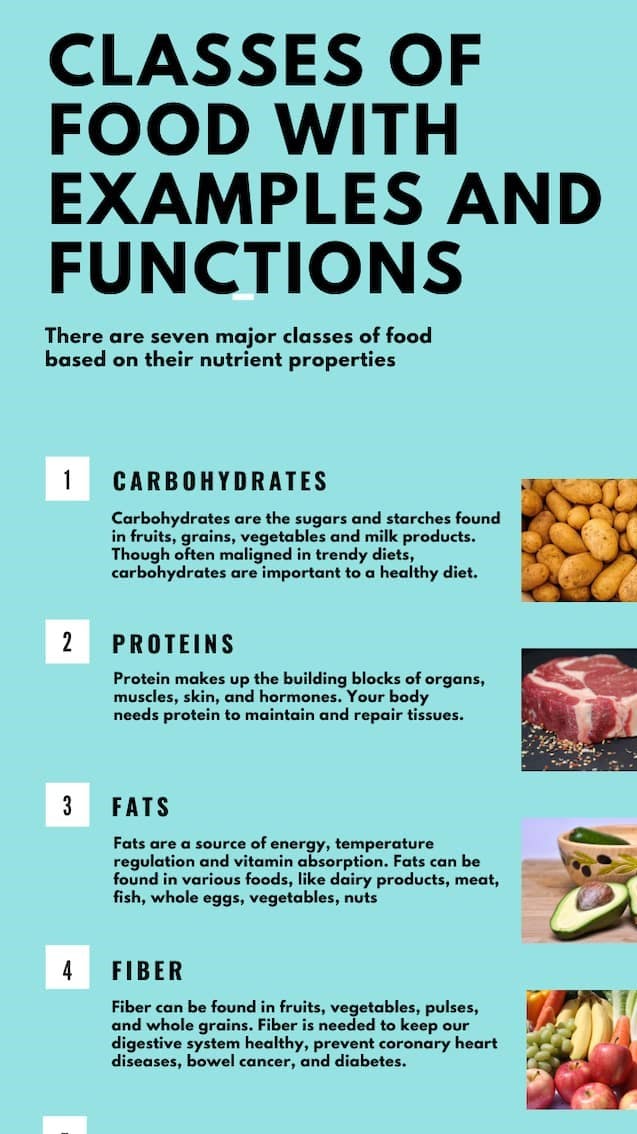 functions of food.jpg
