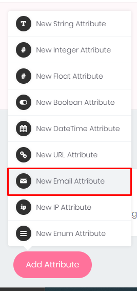 screenshot of email attribute highlighted