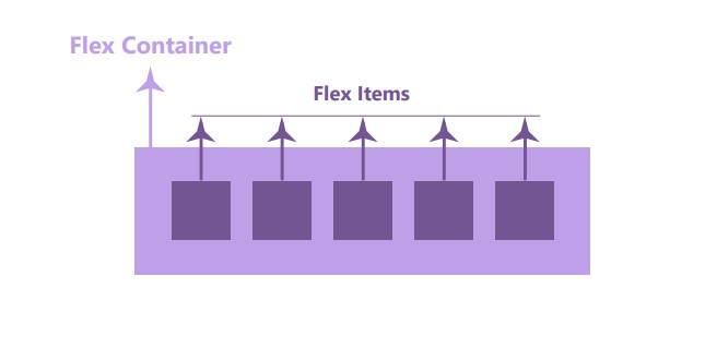 flex-container.jpg