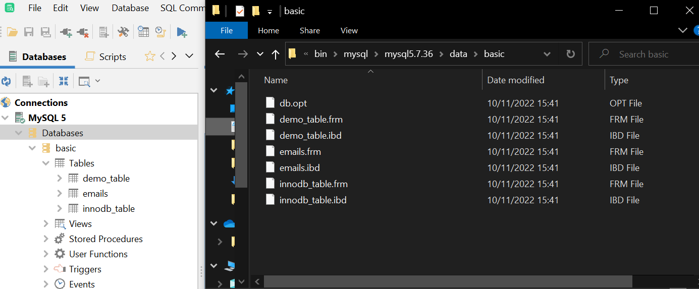 The tables in dbVisualizer and their associated files