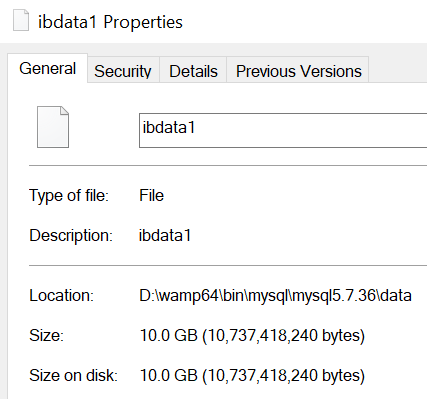 The Initial Size of ibdata1