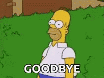 homer-simpson-goodbye-ujpm7gehdduo0m1h.gif