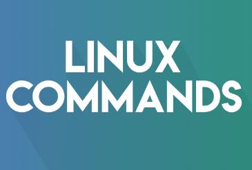 Basic Linux Commands