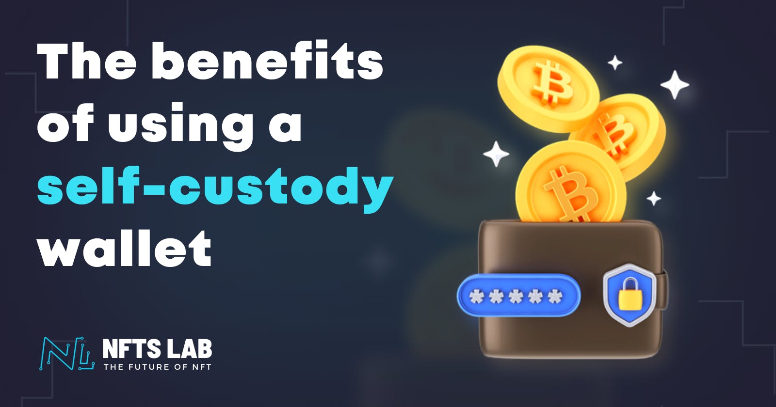 Investing in cryptocurrency: the benefits of using a self-custody wallet