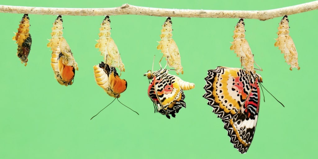 How SDLC Prototype Model Helps Build Comprehensive Apps When Requirements Are Unclear