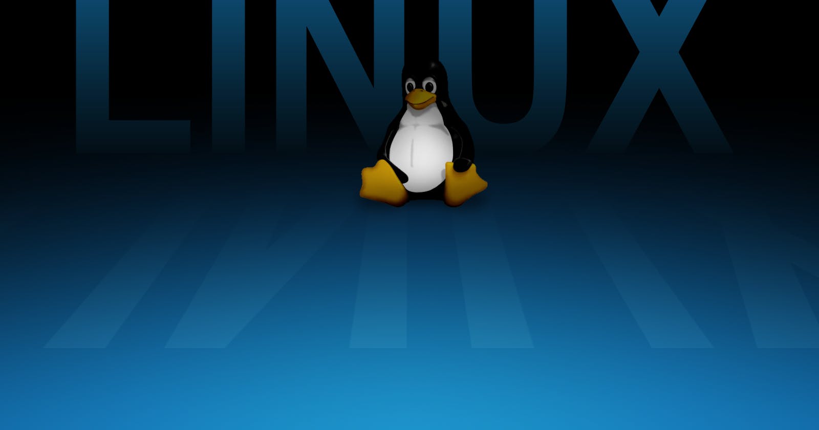 Session 2: Hello Linux :)