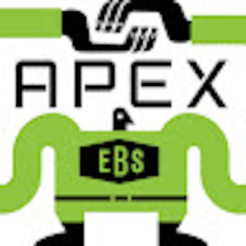 The EBS-APEX Dude Blog by Sylvain Martel
