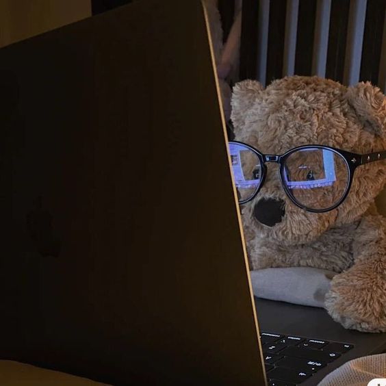 cute teddy surfing the net