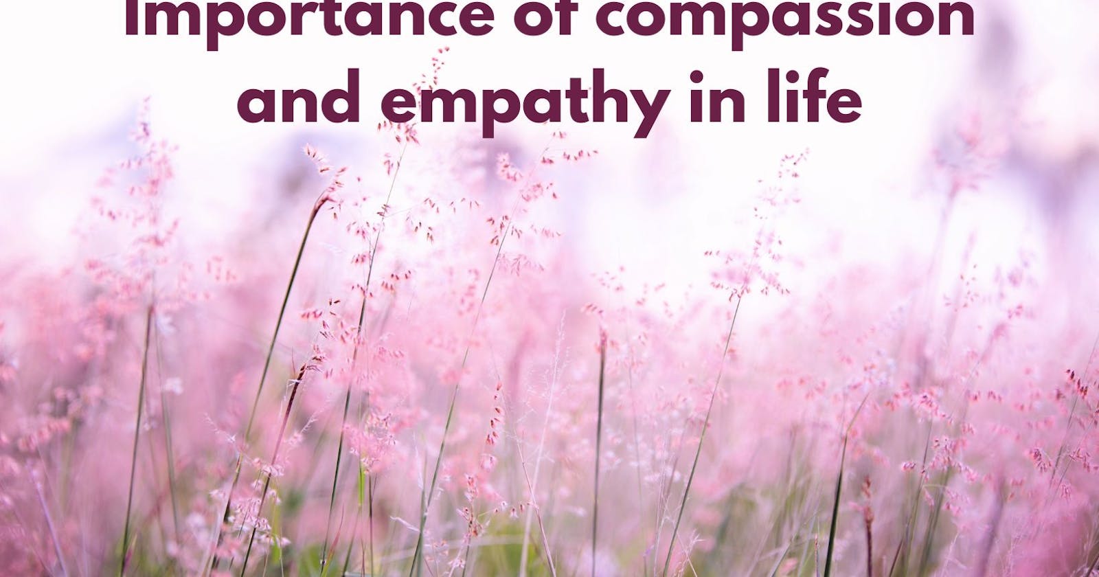 Importance of compassion and empathy in life
