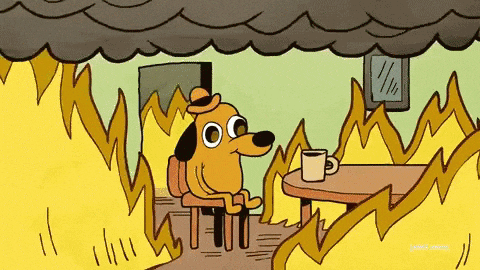 Image de um cachorro em em um incendio falando “ta tudo ótimo”