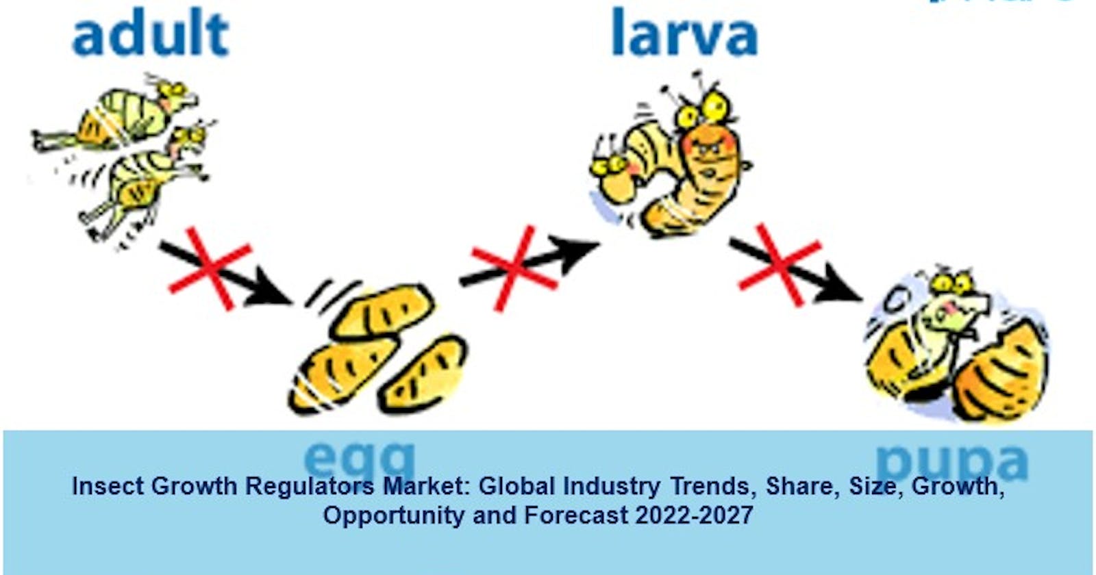 Insect Growth Regulators Market Size 2022, Trends, Industry Scope And Analysis 2027