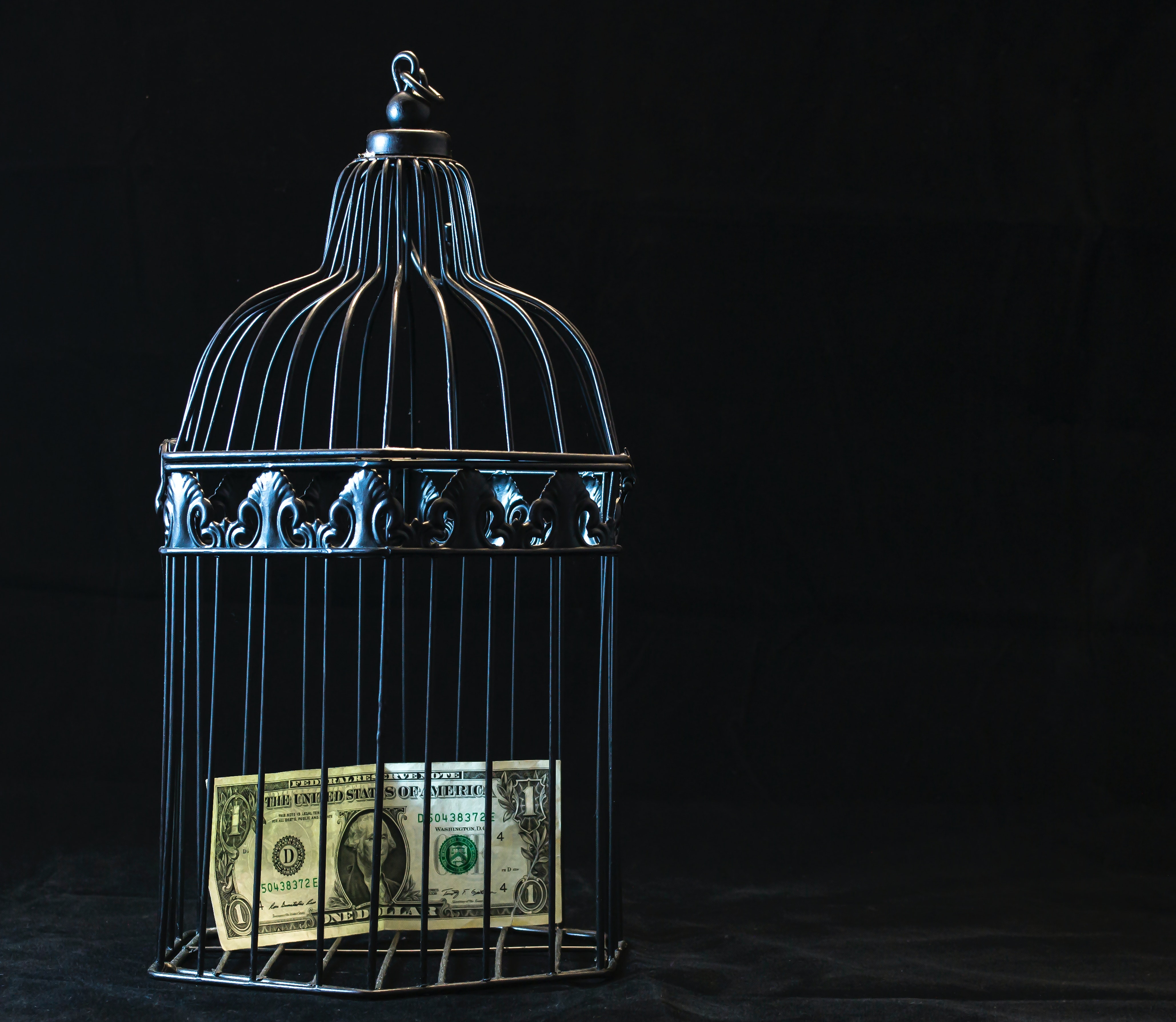 money in cage.jpg