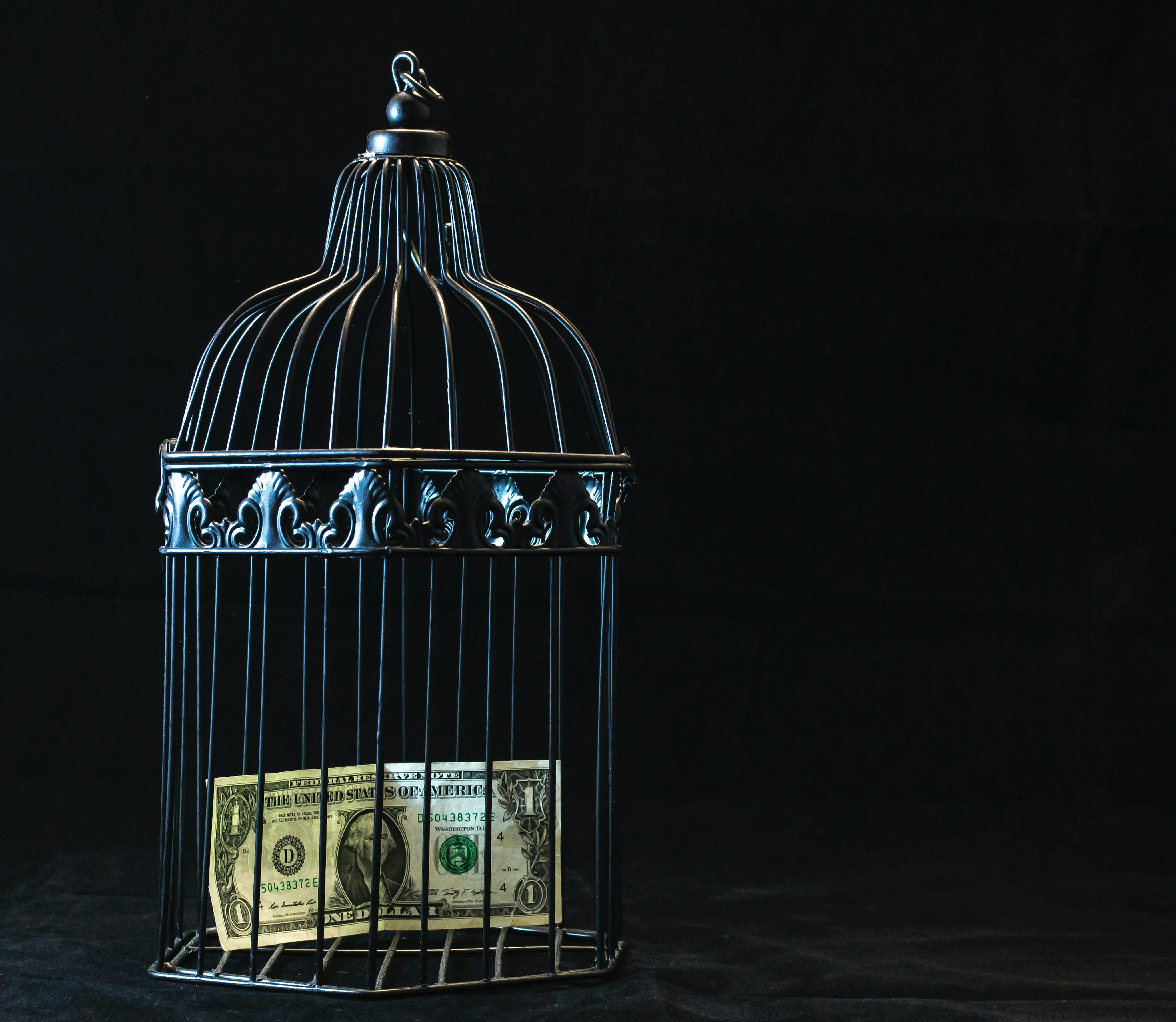 money in cage.jpg