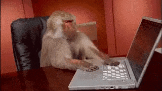 monkey gets blown away when he discovers version control