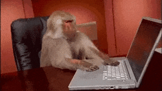 monkey gets blown away when he discovers version control
